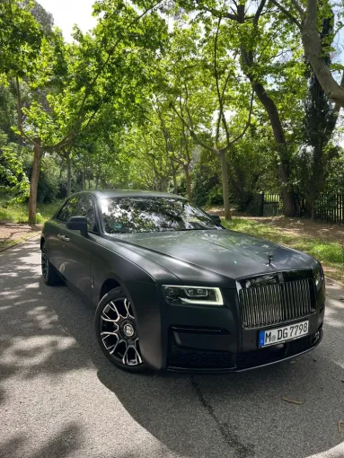 Chauffeur privé pour mariage French Riviera Cannes et les alentours, Cannes, DS Azur Driver