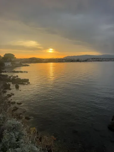 Excursions privées en van sur la Côte d’Azur et en Provence, Cannes, DS Azur Driver