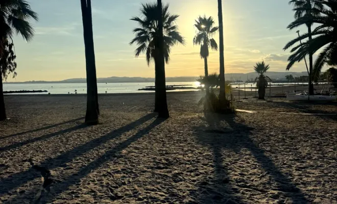 Private shore excursions from the cruise port to Èze Village and Nice, Cannes, DS Azur Driver